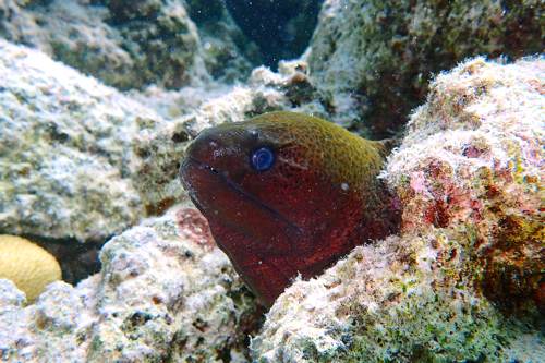 2017 07-18%2014.02.53_Vivid%2B_500_web60%25