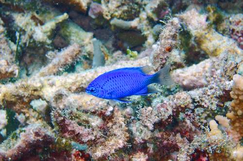 2017 07-22%2009.56.08_Vivid%2B_500_web60%25