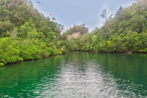 Excursion no. 5: quiet water in Hidden Bay