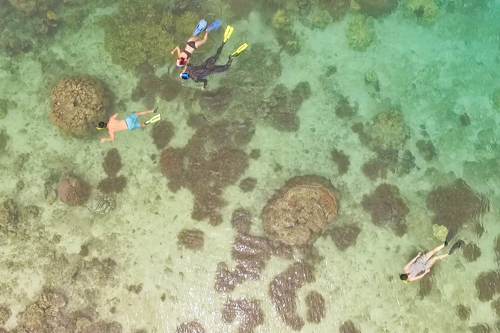 Excursion no. 5: Snorkeling in the entrance of Hidden Bay