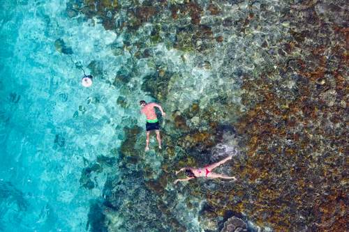 Excursion no. 2: Snorkeling in Arborek