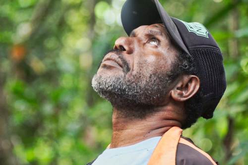 Excursion no. 2: bird watching guide