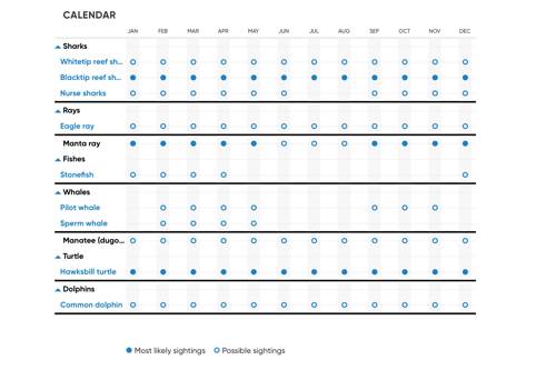 fish season in Raja Ampat