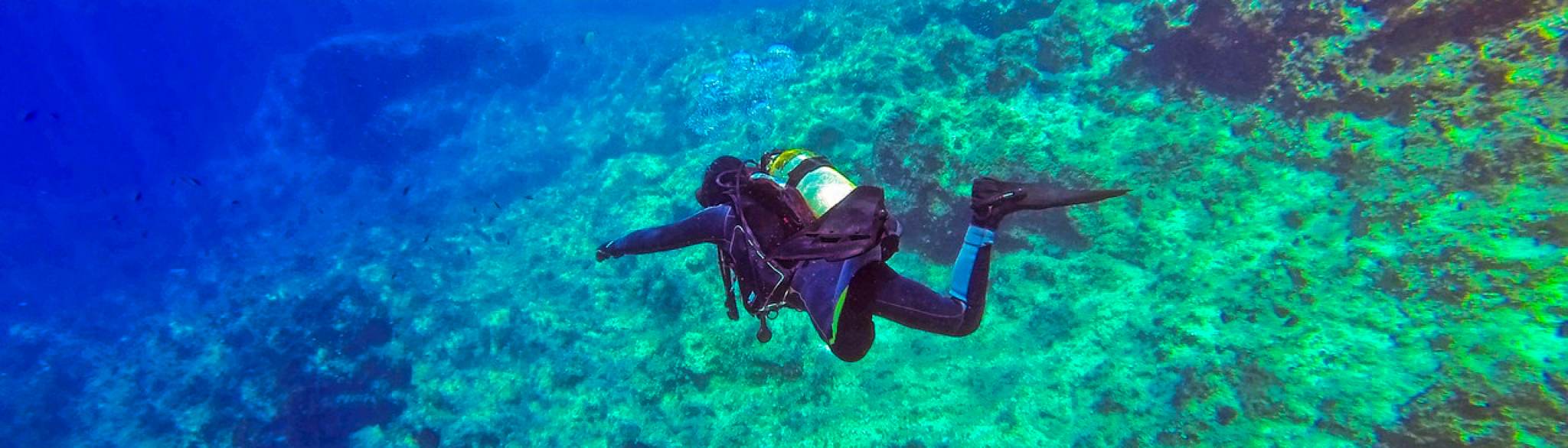 Scuba Diver in Raja Ampat reef