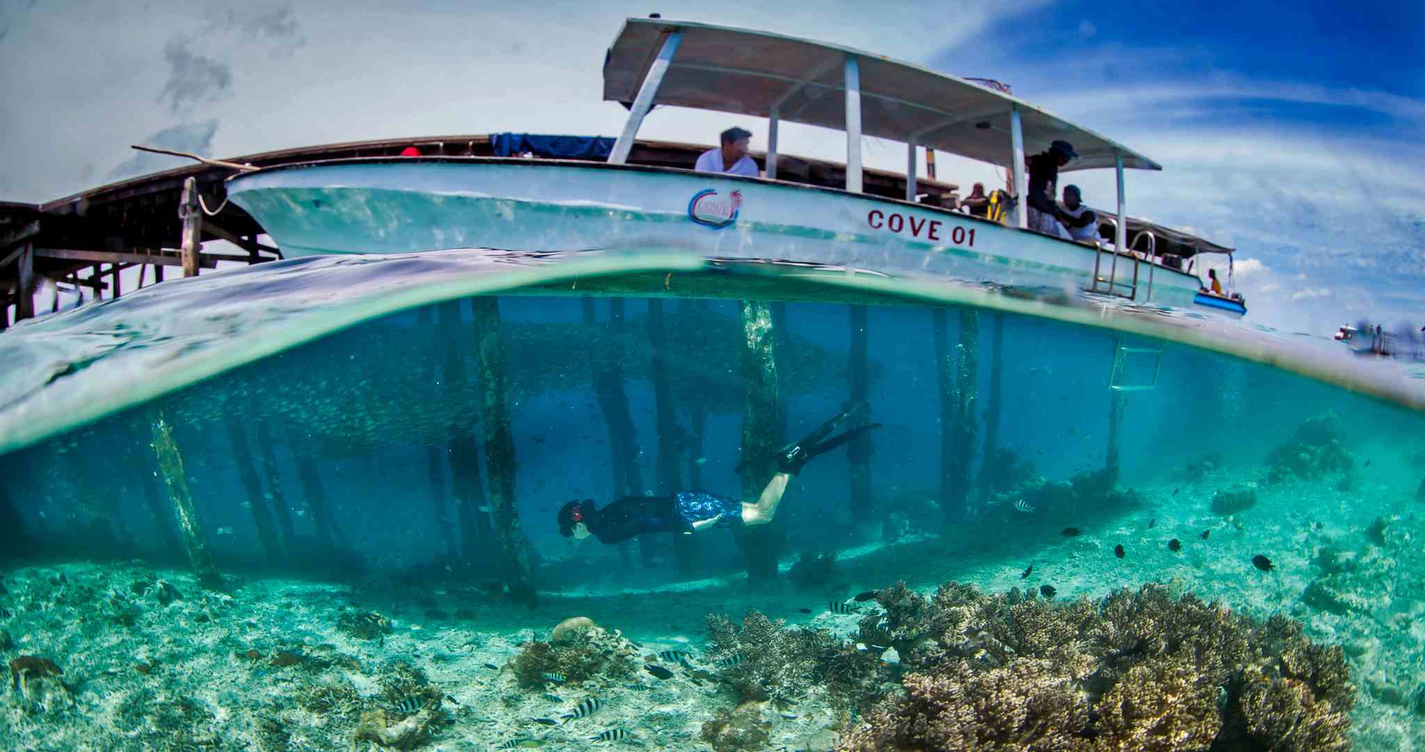 snorkeling_under_the_jetty_wide_2048_web